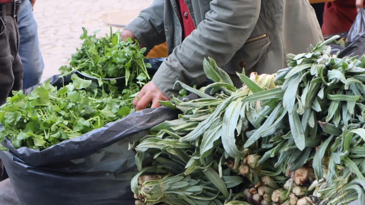 Alternative medicine of Kurds: Girûz