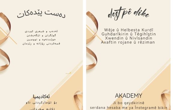 Care Yekem e Em Kursa Soranî Vedikin